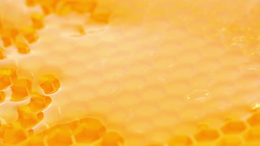 Close-up of honey dripping. Pouring honey on honeycomb.  Royalty-Free Stock Footage #25239401