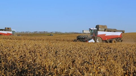 KRASNODAR,RUSSIA - SEPTEMBER 18 , 2016: Combine working on a millet field.The use of modern methods of agriculture,plant protection and agricultural equipment for a good harvest