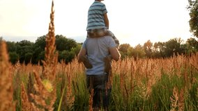 Little son sits on shoulders of daddy. Family having fun outside in beautiful meadow in sunset sunlight. Real time full hd video footage.