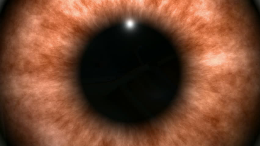 Orange eye ball with dilating iris - HD1080