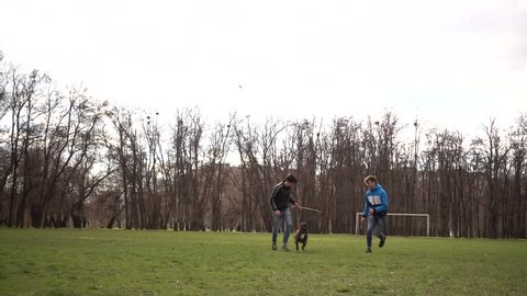 Two guys Gay Friends running Stroking Playing Pit Bull Dog In Spring Park