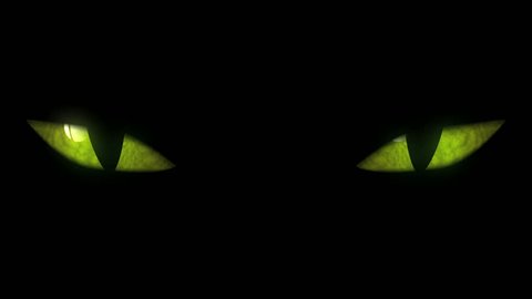 Cat Eyes Blinking Loop. Animation of cat eyes blinking. Seamless loop.