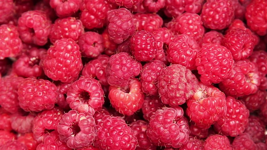 Raspberry, beautiful selection of freshly picked ripe red raspberries rotation