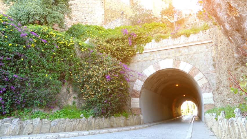 Alcazaba is palatial fortification in Malaga, Spain. It was built by Hammudid dynasty in early 11th century. Citadel built on hill overlooking port, and comprises two walled enclosures.