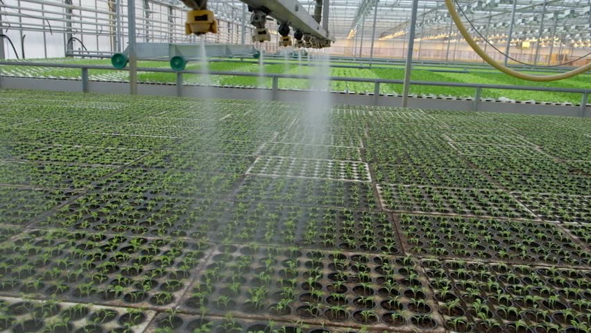 Greenhouse Watering System in Action. 스톡 동영상 비디오(100% 로열티 프리) 25314485 | Shutterstock