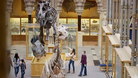 4K Families visiting a Natural History museum looking at the dinosaur exhibits
