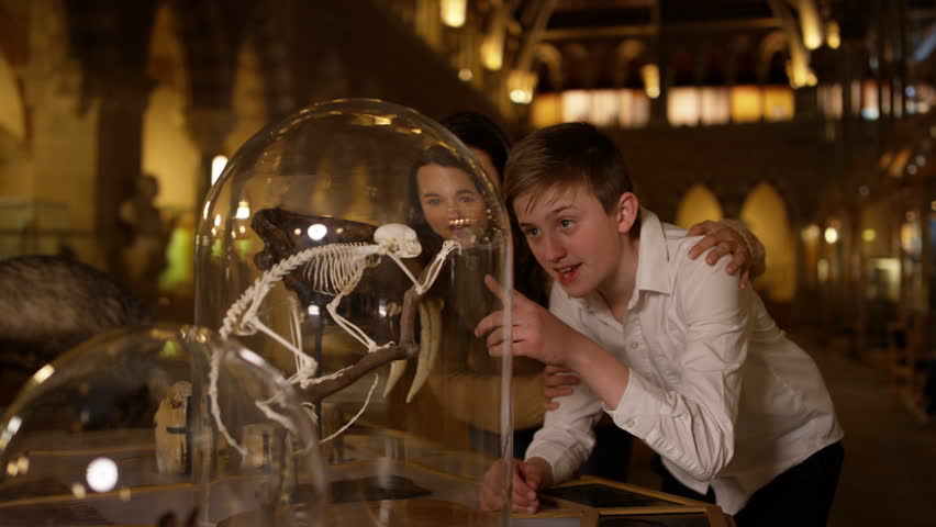 4K Mother & son in natural history museum looking at a skeleton inside glass jar
