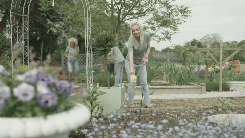 4K Cheerful team of volunteers working together in community garden