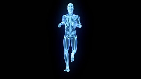 X-Ray of human 3D model running with matte key included
