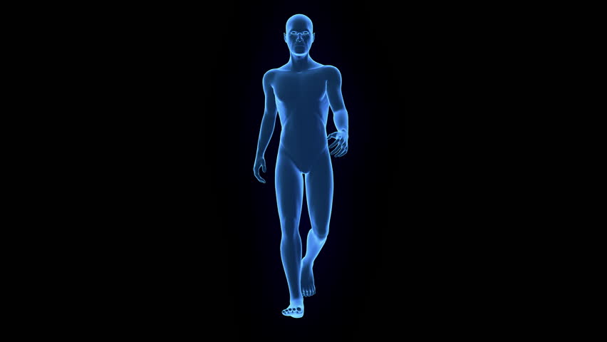 Human 3d Model Walking With の動画素材 ロイヤリティフリー Shutterstock