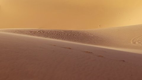 Close-up view of sand dunes in desert. Wind in desert drives sand. With sound sunny day in Sahara. Wind in barkhanes of Sahara. Arabian landscape. Texture of sand dunes gold and yellow color.