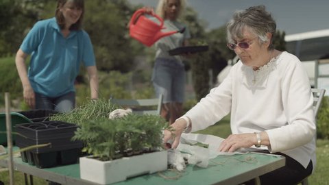 4K Ladies working together in community garden