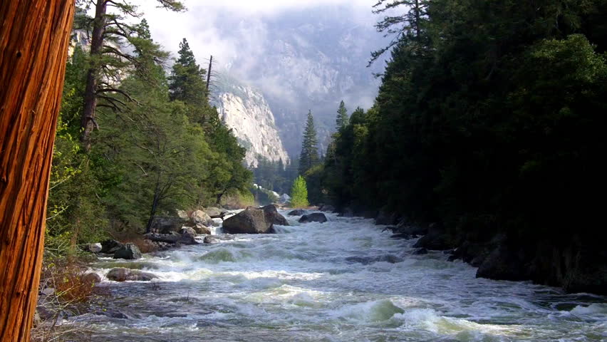 The picturesque Merced River flowing with whitewater rapids through the Yosemite