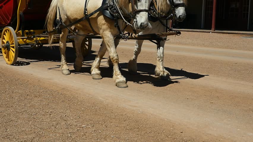 Close up of powerful horses pulling a stagecoach