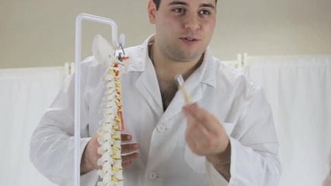Doctor tells about work of spine, a model of human vertebrae