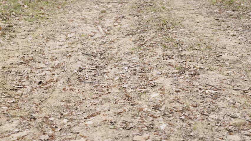 Teenagers couple walking in the park and talking