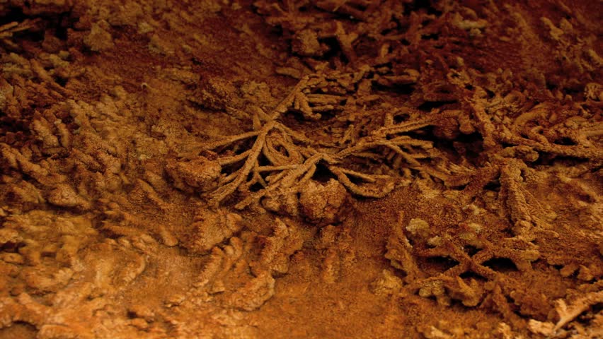 Colorful pool of water in Mammoth Hot Springs in Yellowstone 
