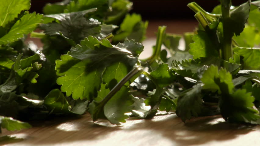 A chef chops parsley (cilantro)