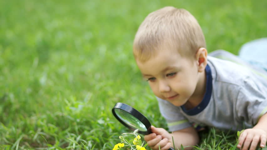 Little boy with a magnifying loupe looking at flowers
