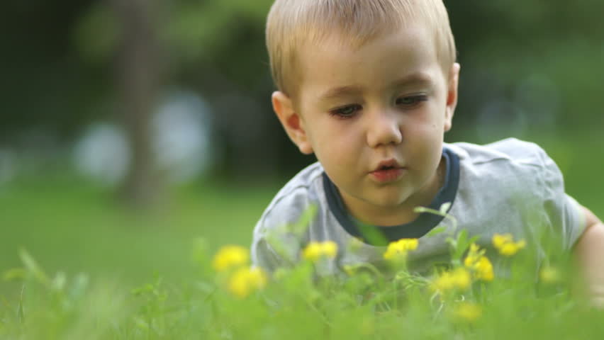Little boy with a loupe looking at flowers
