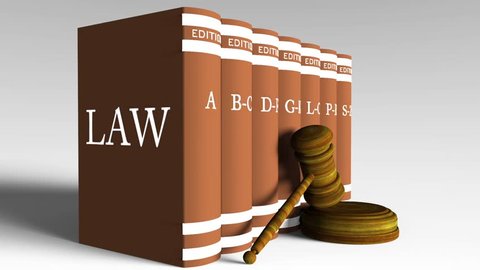 Gavel & Law books 