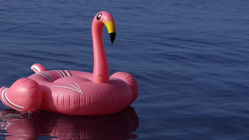 flamingo water float