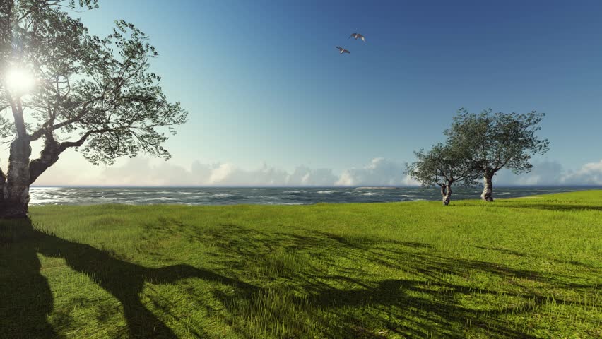 Panorama on rough sea ocean and olives trees, birds in flight, 3d illustration