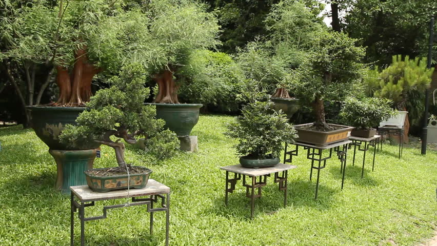 Bonsai Garden, House of South China Bonsai - Liuhuaxiyuan in Guangzhou(Canton),