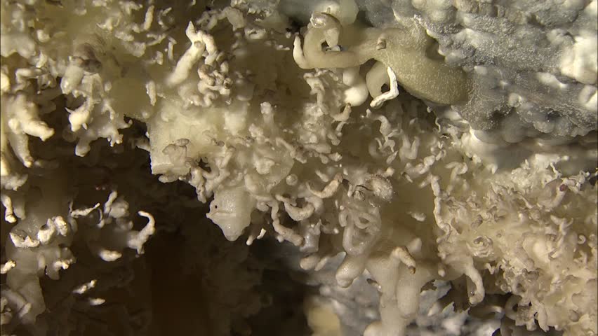 Cave corral formation 