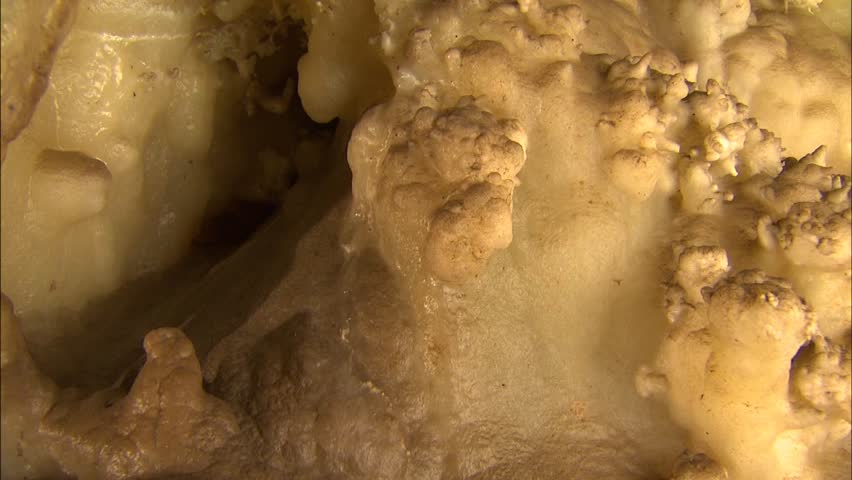 Pan across cave wall with various colors and textures