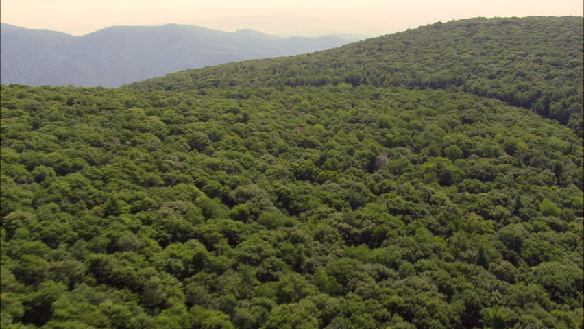 Skyline Drive Shanandoah National Park United States, Greene County-2008