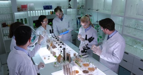 Researchers Team Work Biological Research Genetic Engineering Seeds Laboratory