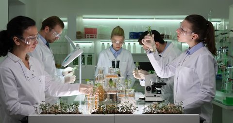 Team of Researchers Work Examine Genetically Engineered Foods Plants Laboratory