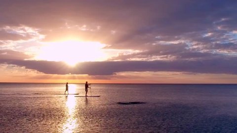 Two Paddleboarders at Sunset with Dolphins Stockvideó