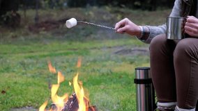 Roasting marshmallows by outdoor fire in forest.