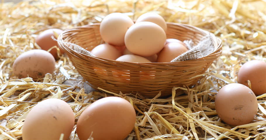 Basket of organic eggs in a rural farmers market - dolly shot 4K. | Shutterstock HD Video #25566938