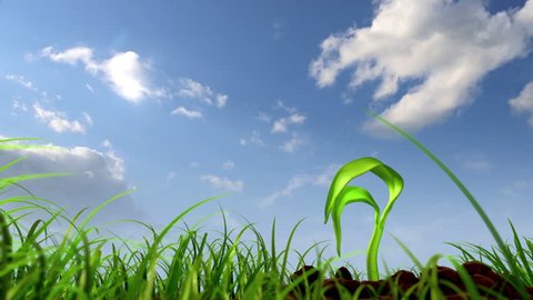 growing plant against sky background, 3d animation