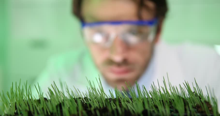 Researcher Work Wetting Wheat Seedlings Genetic Engineering Laboratory Close Up Royalty-Free Stock Footage #25572365