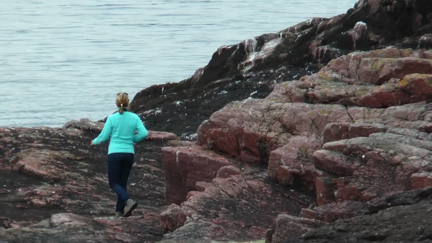 A woman walks along the stony seashore. Shouts of seagulls.
  Summer cloudy day.