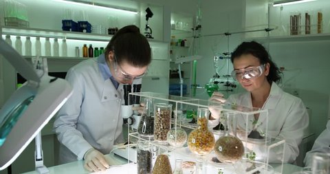 Team of Scientists in a Laboratory Analyzes Soil Seeds Plants Microbiology Tests