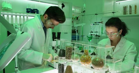 Team of Researchers in Biochemistry Lab Biologists Work Plants Seeds Laboratory