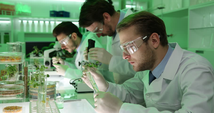Team of Biologist Men Working Stock Footage Video (100% Royalty-free)  25607009 | Shutterstock