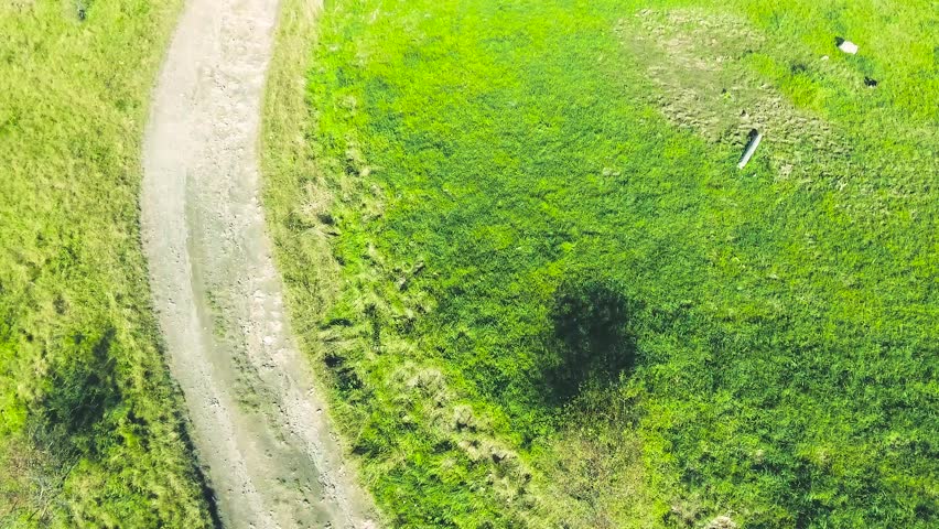 Two young hipster athletes running in sunny autumn nature