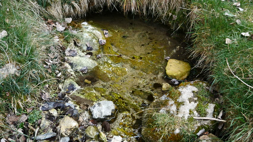 Birth river Aguisejo, in the Sierra de Ayllón, Segovia, Castilla y León, Spain. Filmed in April 2017.