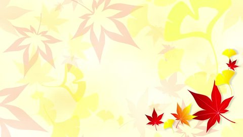 Maple Ginkgo frame loop 2 pattern bright background. Animation.