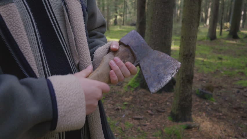 The logger walks with an ax in the woods and chooses trees