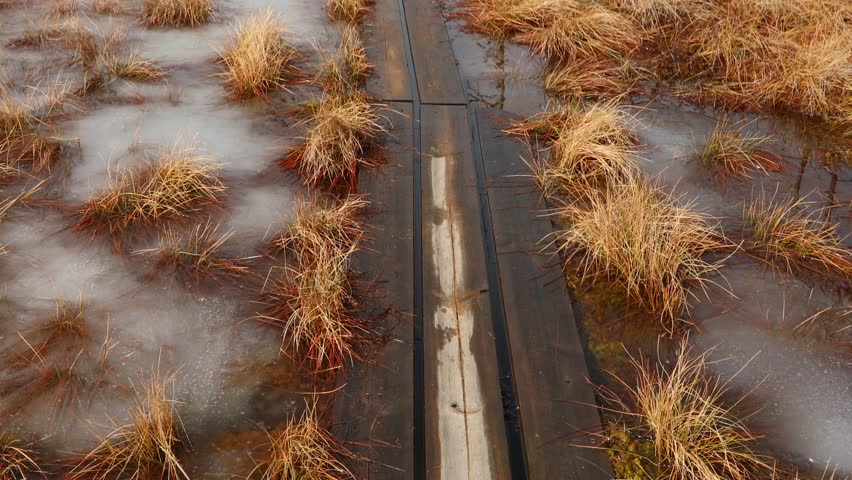 Walking trail in a swamp in Finland