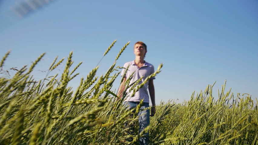 Carefree  man walking in wheat field at summertime