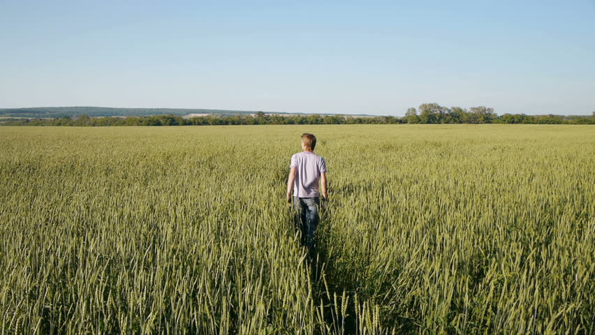 Carefree young  man walking in wheat field at summertime