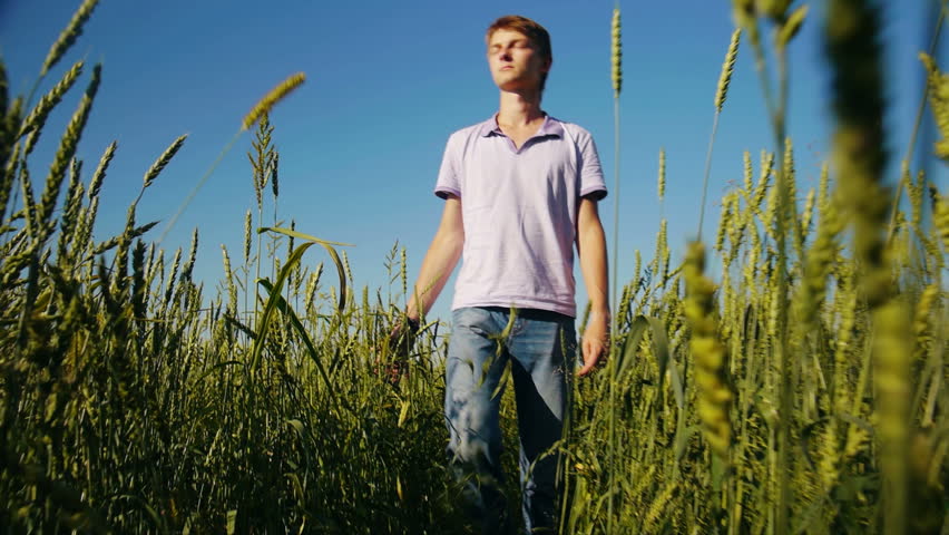 Handsome young  man walking in wheat field at summertime